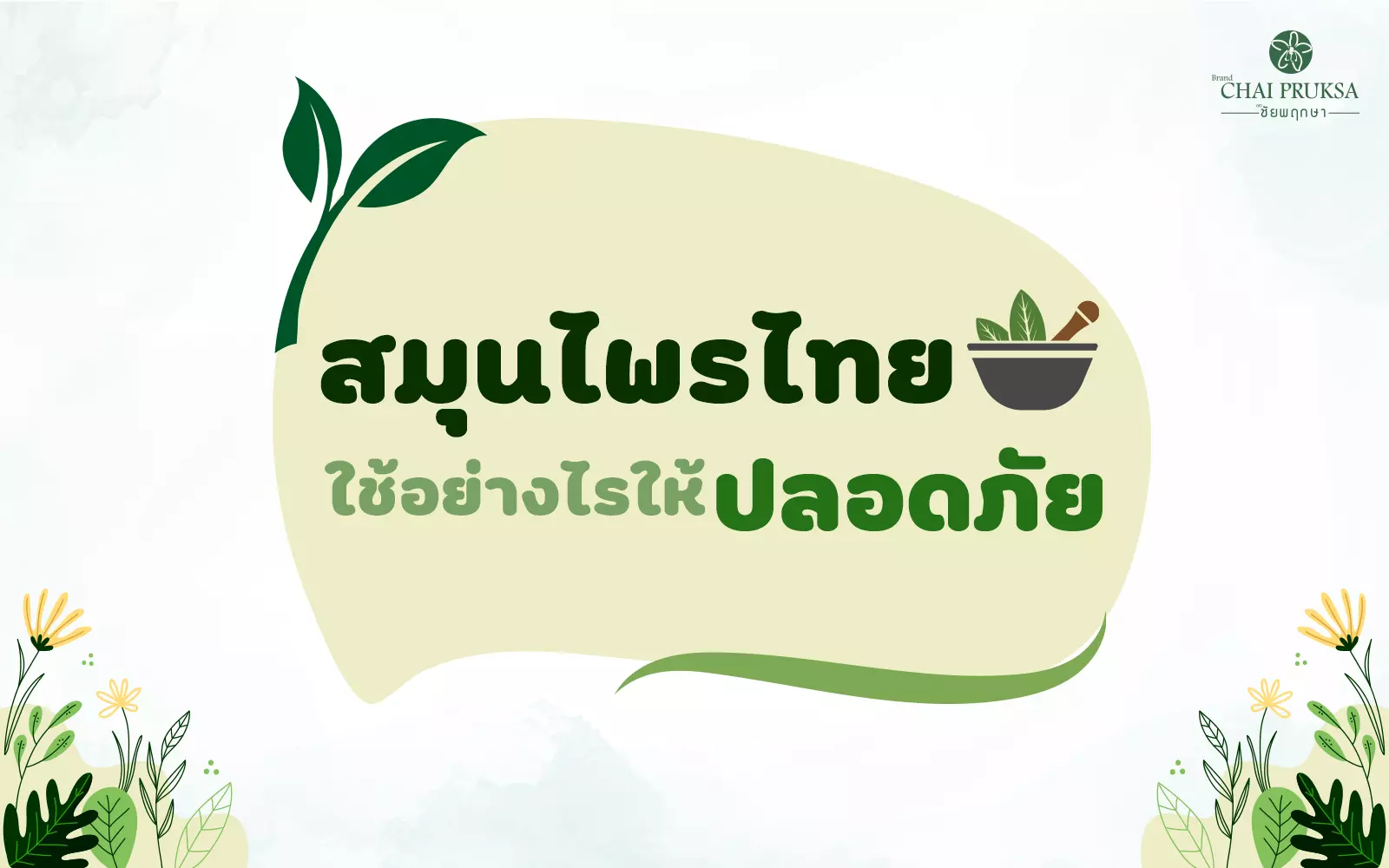 สมุนไพรไทย ใช้อย่างไรให้ปลอดภัย